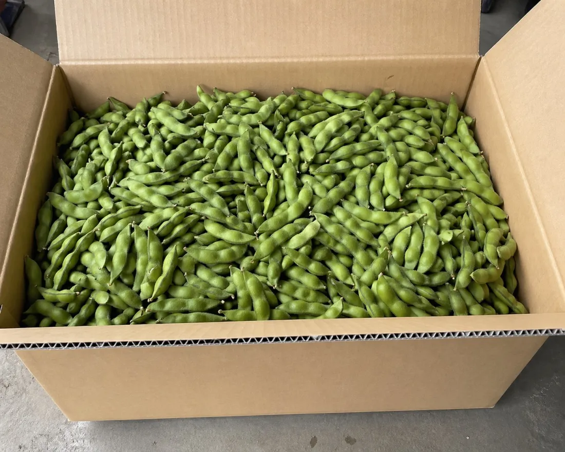 朝霧枝豆12kg_ダンボールへのバラ入れの包装画像